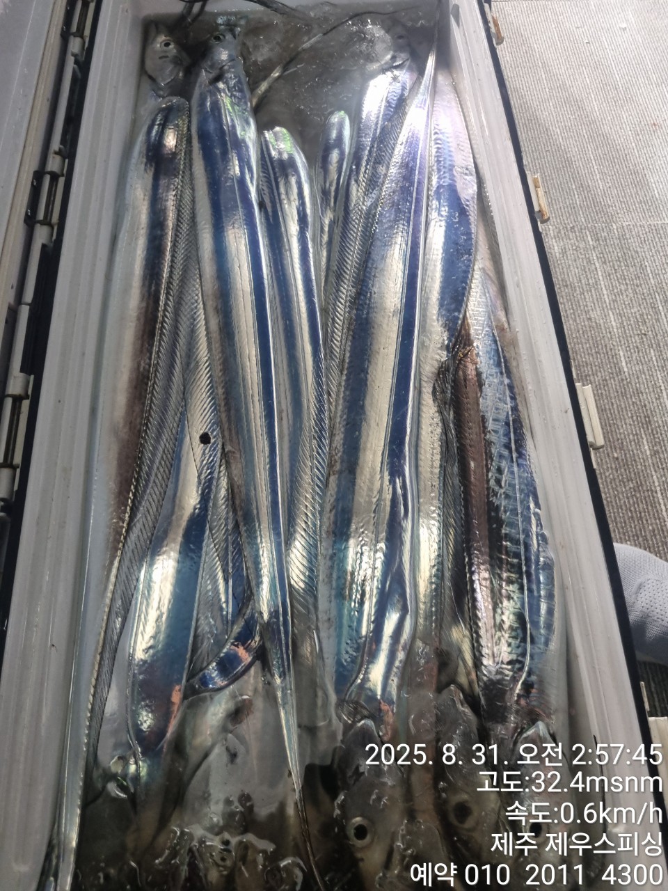 26b50ed89b70f7f9f340ff915b440edc_1756617321_7236.jpg