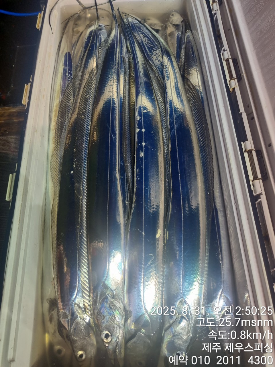 26b50ed89b70f7f9f340ff915b440edc_1756617332_3079.jpg