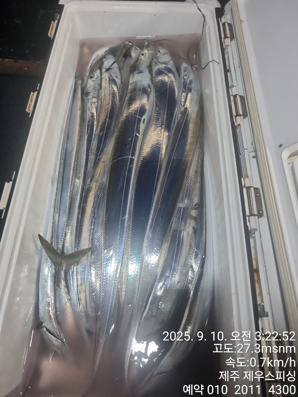 5650e107001c4cd946094c333b688dc1_1757475652_257.jpg