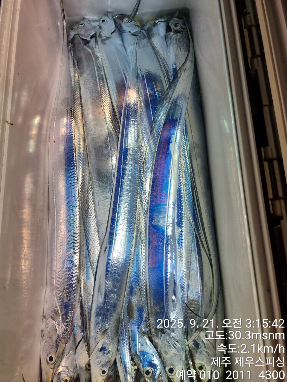 cc1a42b511af7e357b336791853ec01c_1758439938_0467.jpg