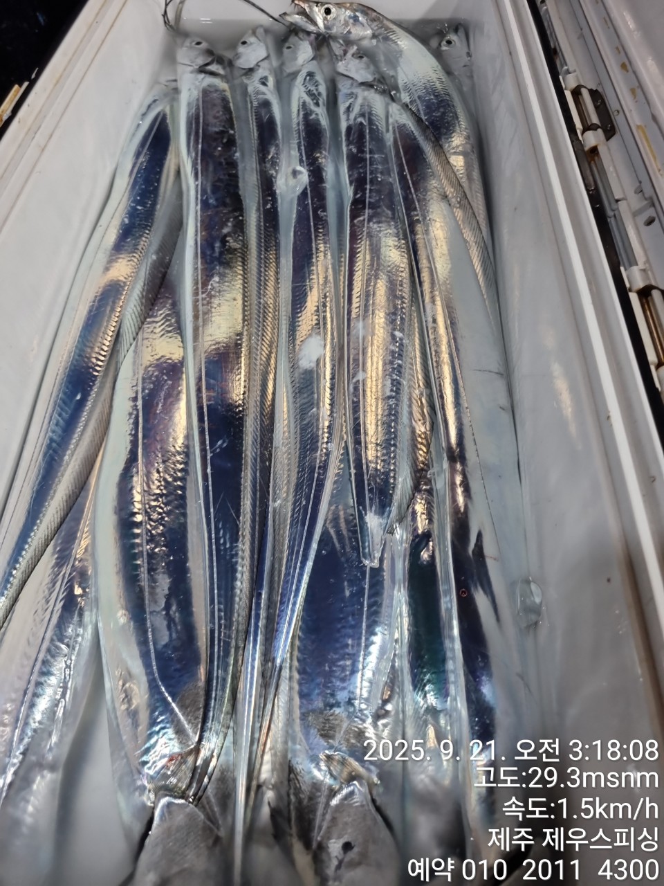 cc1a42b511af7e357b336791853ec01c_1758439938_5335.jpg