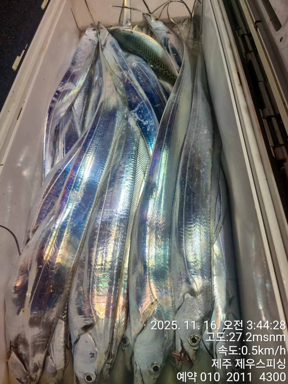 6a60fab4200b23c9f7fd9ca6ccd9e9f2_1763268310_5438.jpg 6a60fab4200b23c9f7fd9ca6ccd9e9f2_1763268310_5438.jpg