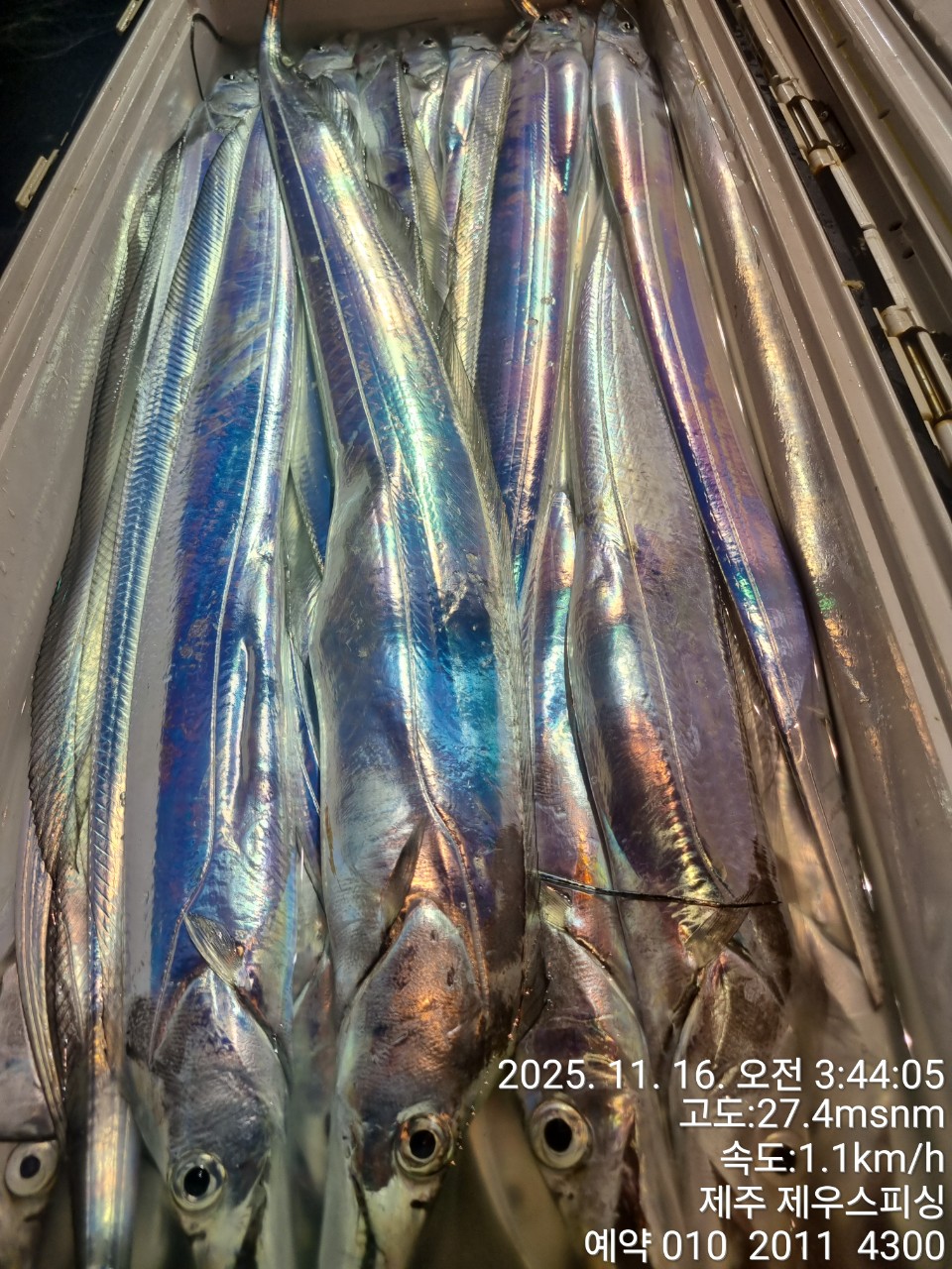 6a60fab4200b23c9f7fd9ca6ccd9e9f2_1763268310_5956.jpg 6a60fab4200b23c9f7fd9ca6ccd9e9f2_1763268310_5956.jpg