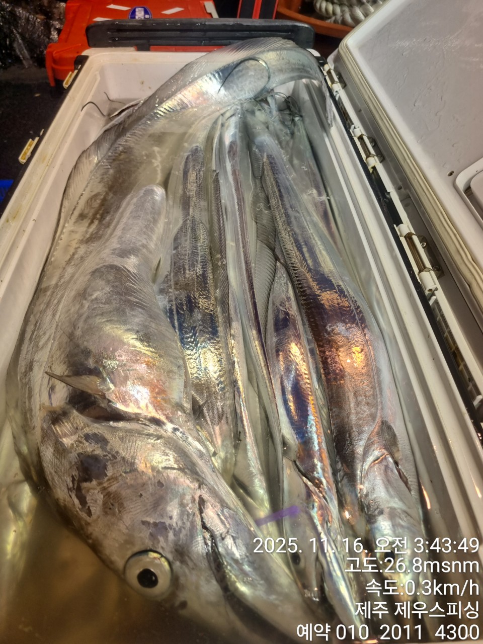 6a60fab4200b23c9f7fd9ca6ccd9e9f2_1763268310_6393.jpg 6a60fab4200b23c9f7fd9ca6ccd9e9f2_1763268310_6393.jpg