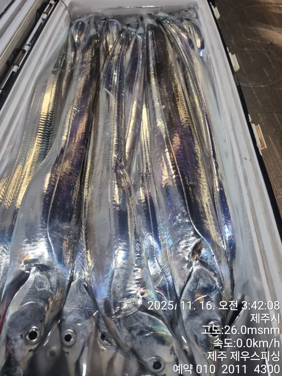 6a60fab4200b23c9f7fd9ca6ccd9e9f2_1763268310_8964.jpg 6a60fab4200b23c9f7fd9ca6ccd9e9f2_1763268310_8964.jpg