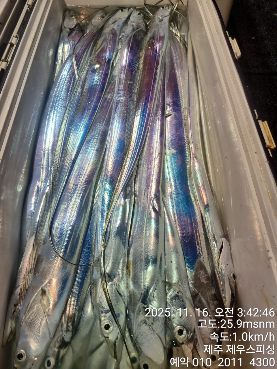 6a60fab4200b23c9f7fd9ca6ccd9e9f2_1763268469_9595.jpg 6a60fab4200b23c9f7fd9ca6ccd9e9f2_1763268469_9595.jpg