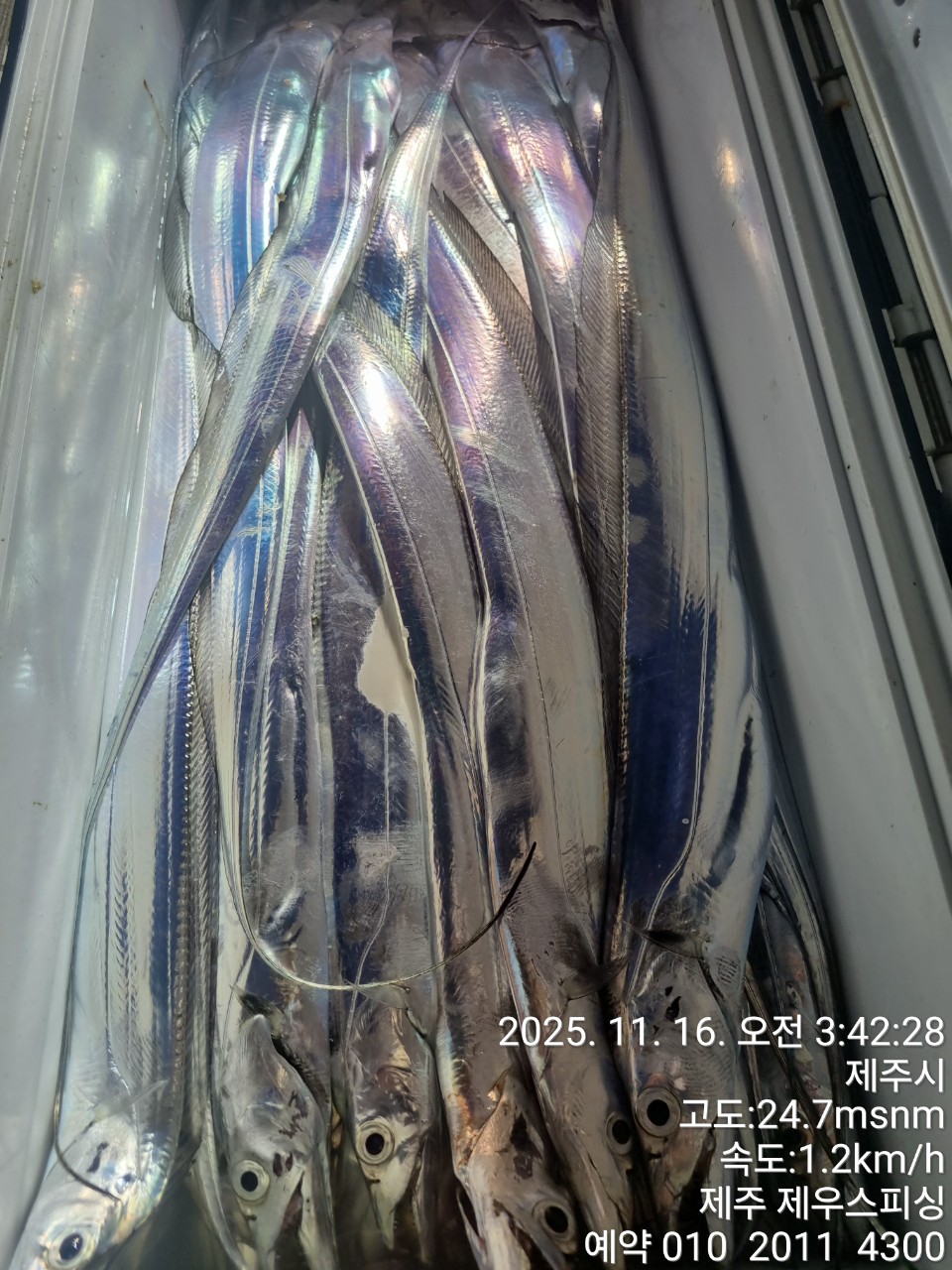 6a60fab4200b23c9f7fd9ca6ccd9e9f2_1763268470_0048.jpg 6a60fab4200b23c9f7fd9ca6ccd9e9f2_1763268470_0048.jpg