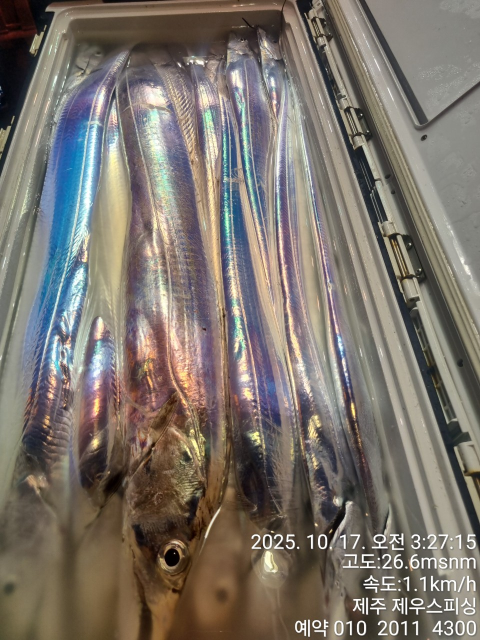 8bece78895c63dd85bf66685fde44866_1763093642_9033.jpg 8bece78895c63dd85bf66685fde44866_1763093642_9033.jpg