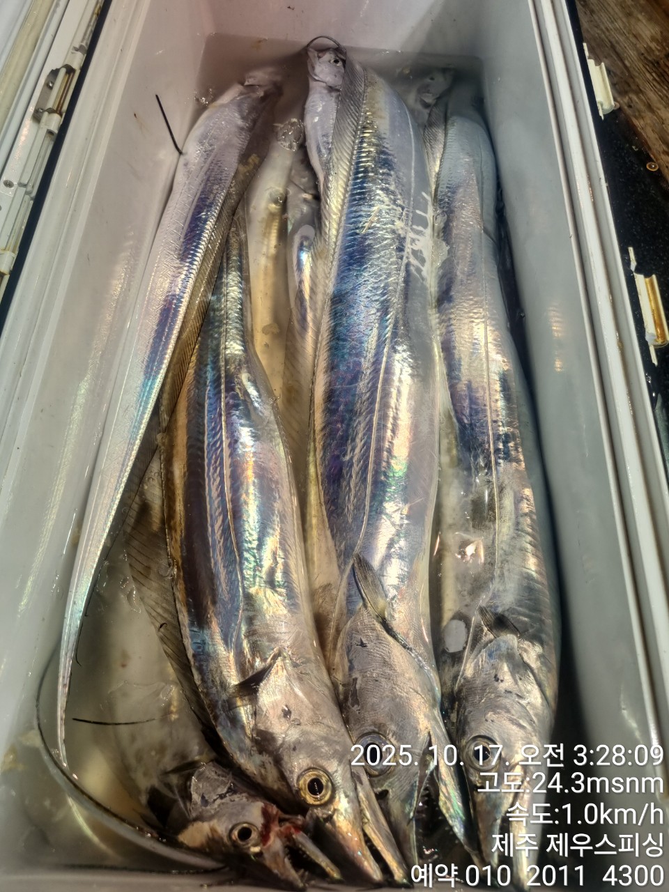 8bece78895c63dd85bf66685fde44866_1763093642_9552.jpg 8bece78895c63dd85bf66685fde44866_1763093642_9552.jpg