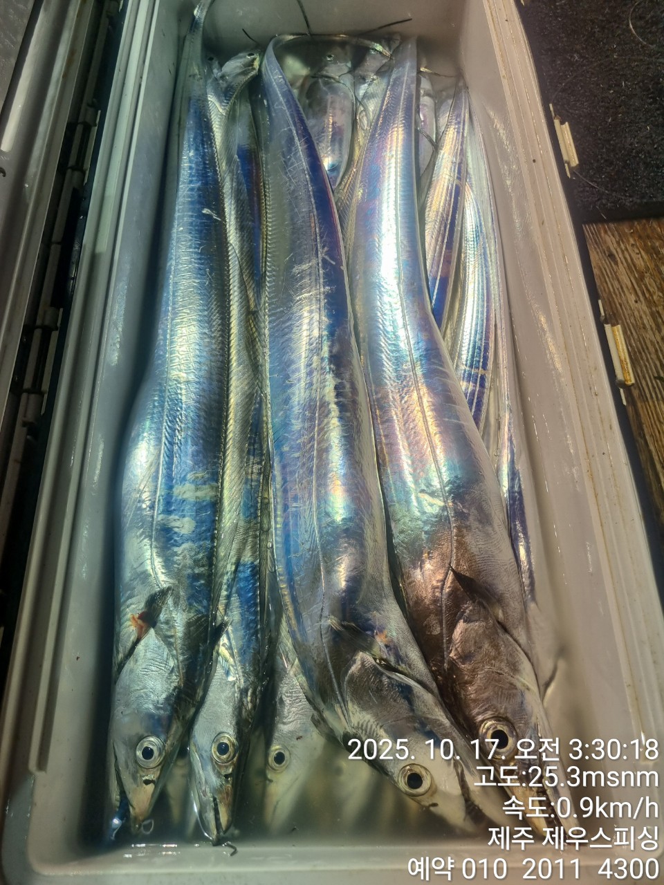 8bece78895c63dd85bf66685fde44866_1763093643_025.jpg 8bece78895c63dd85bf66685fde44866_1763093643_025.jpg