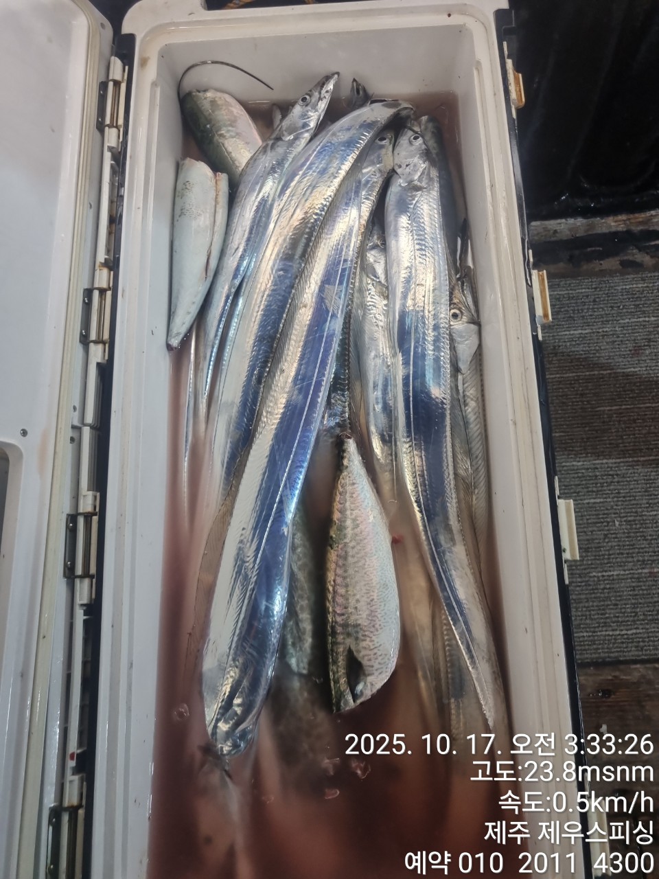 8bece78895c63dd85bf66685fde44866_1763093643_0667.jpg 8bece78895c63dd85bf66685fde44866_1763093643_0667.jpg