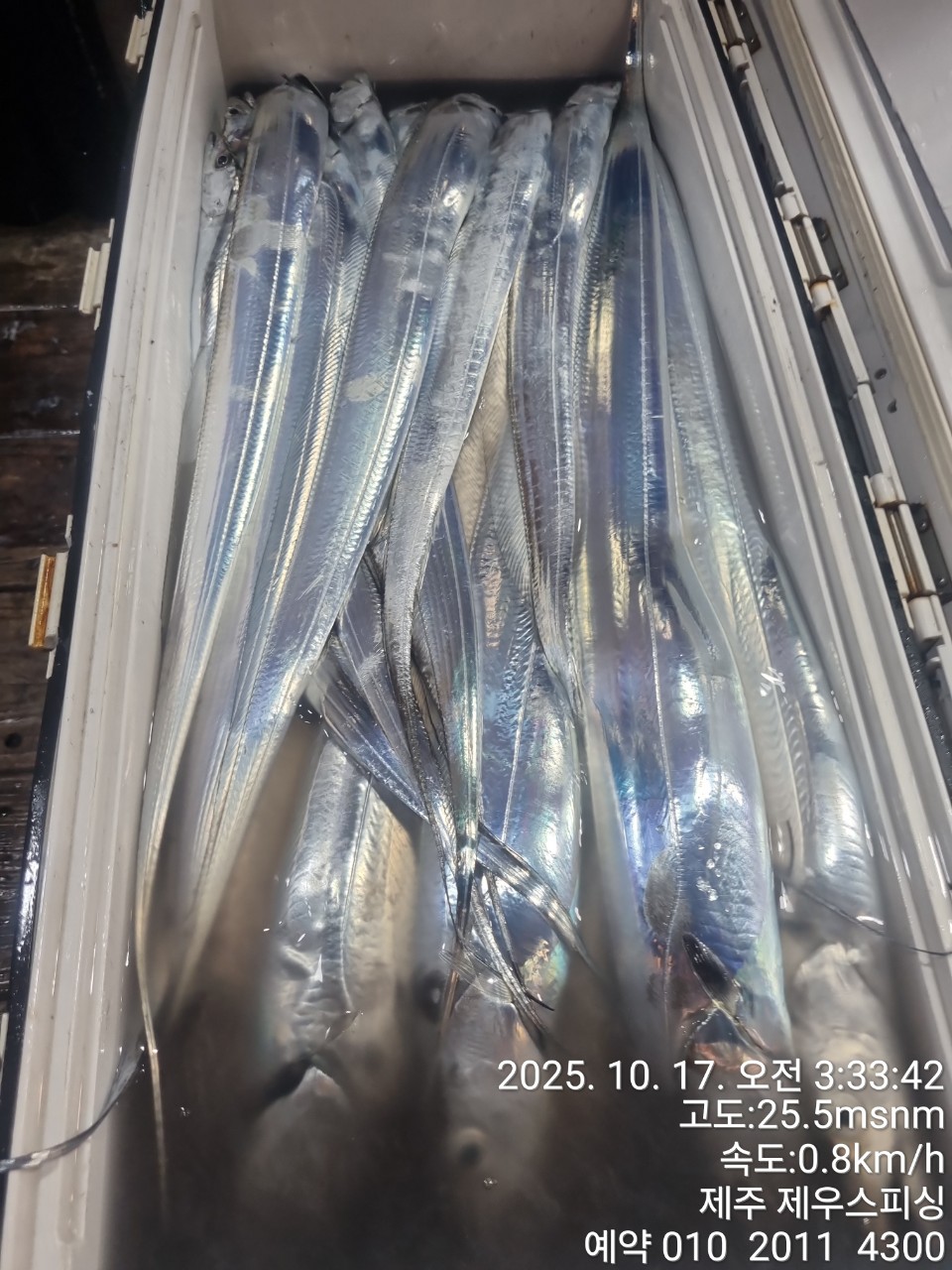 8bece78895c63dd85bf66685fde44866_1763093643_1053.jpg 8bece78895c63dd85bf66685fde44866_1763093643_1053.jpg