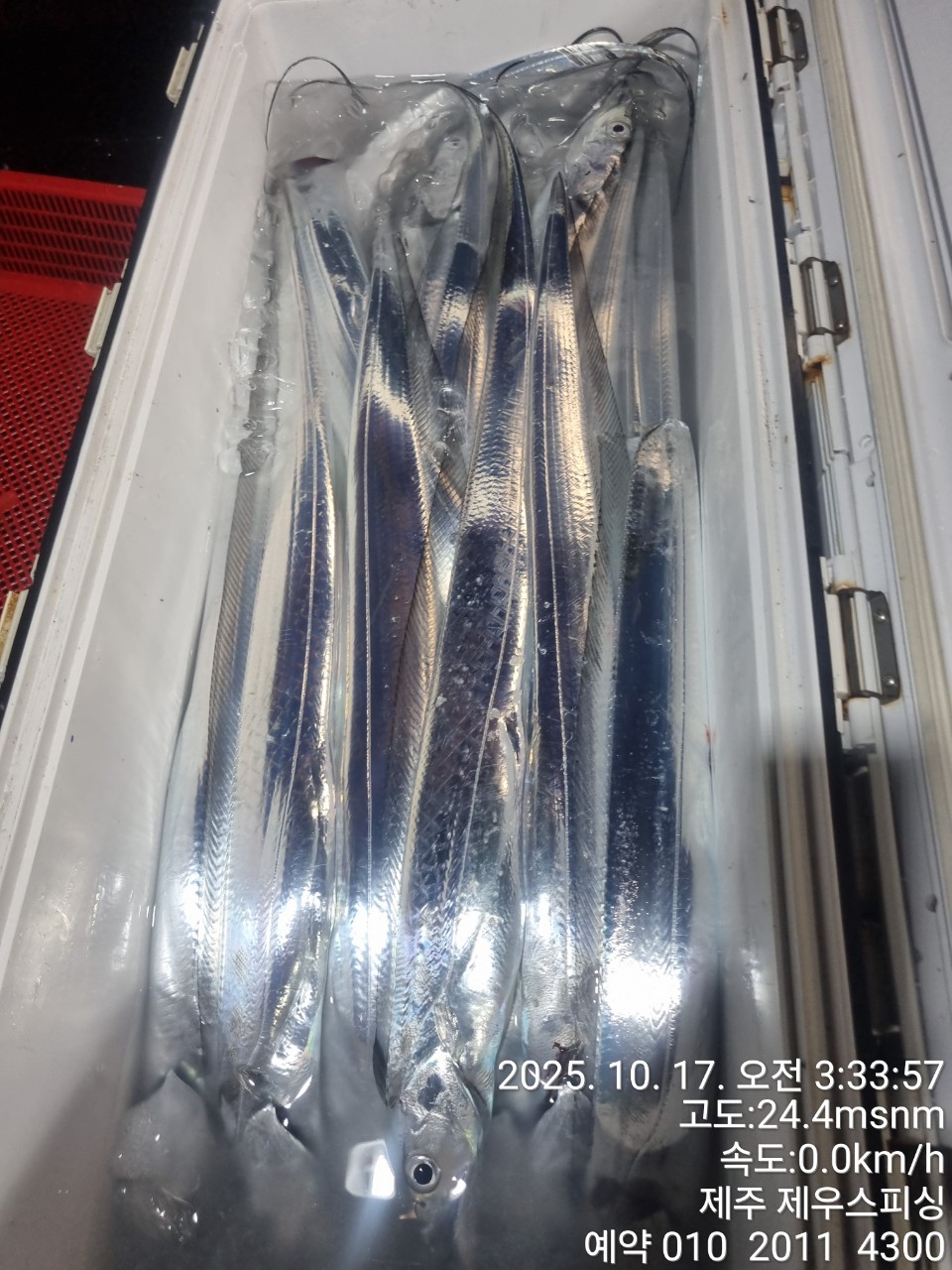 8bece78895c63dd85bf66685fde44866_1763093643_1457.jpg 8bece78895c63dd85bf66685fde44866_1763093643_1457.jpg