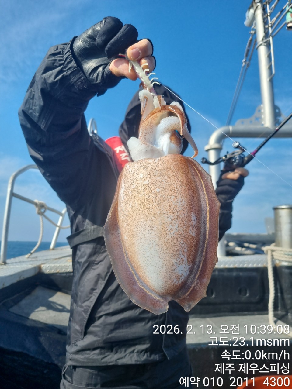 a40fb21076e3371d8deecb09047b5de5_1771731885_3978.jpg a40fb21076e3371d8deecb09047b5de5_1771731885_3978.jpg