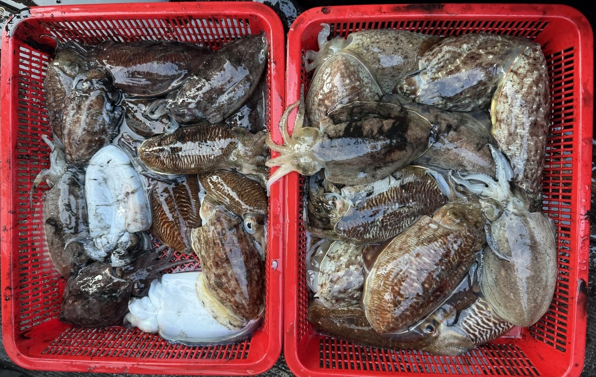 a40fb21076e3371d8deecb09047b5de5_1771731909_9662.jpg a40fb21076e3371d8deecb09047b5de5_1771731909_9662.jpg