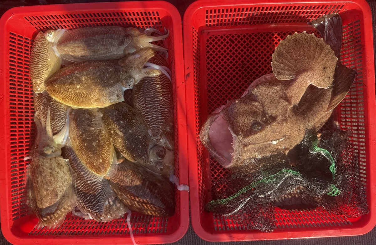 a40fb21076e3371d8deecb09047b5de5_1771731910_0707.jpg a40fb21076e3371d8deecb09047b5de5_1771731910_0707.jpg