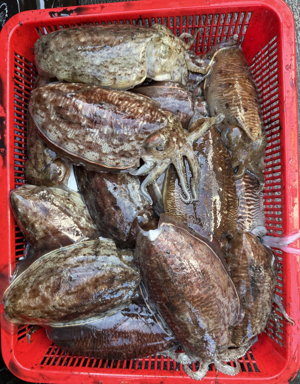 a40fb21076e3371d8deecb09047b5de5_1771731910_1849.jpg a40fb21076e3371d8deecb09047b5de5_1771731910_1849.jpg