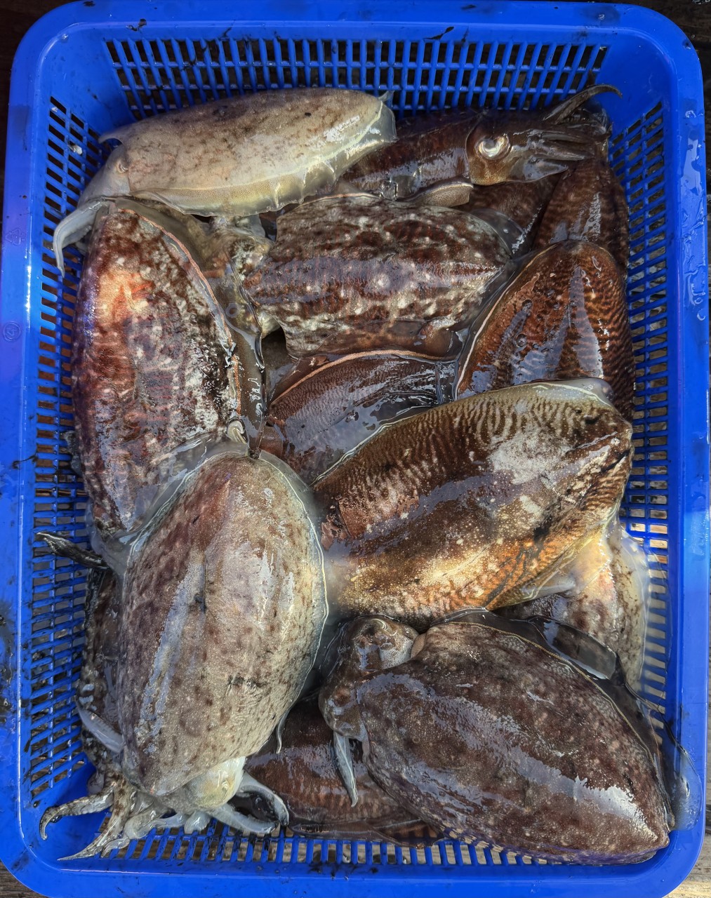 a40fb21076e3371d8deecb09047b5de5_1771731910_3154.jpg a40fb21076e3371d8deecb09047b5de5_1771731910_3154.jpg