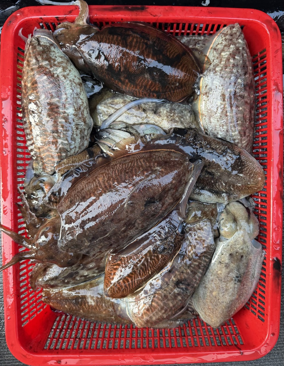 a40fb21076e3371d8deecb09047b5de5_1771731910_438.jpg a40fb21076e3371d8deecb09047b5de5_1771731910_438.jpg