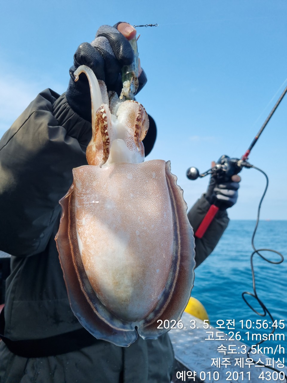 58f37f67981077279c419435a7e658cd_1773468115_5671.jpg 58f37f67981077279c419435a7e658cd_1773468115_5671.jpg