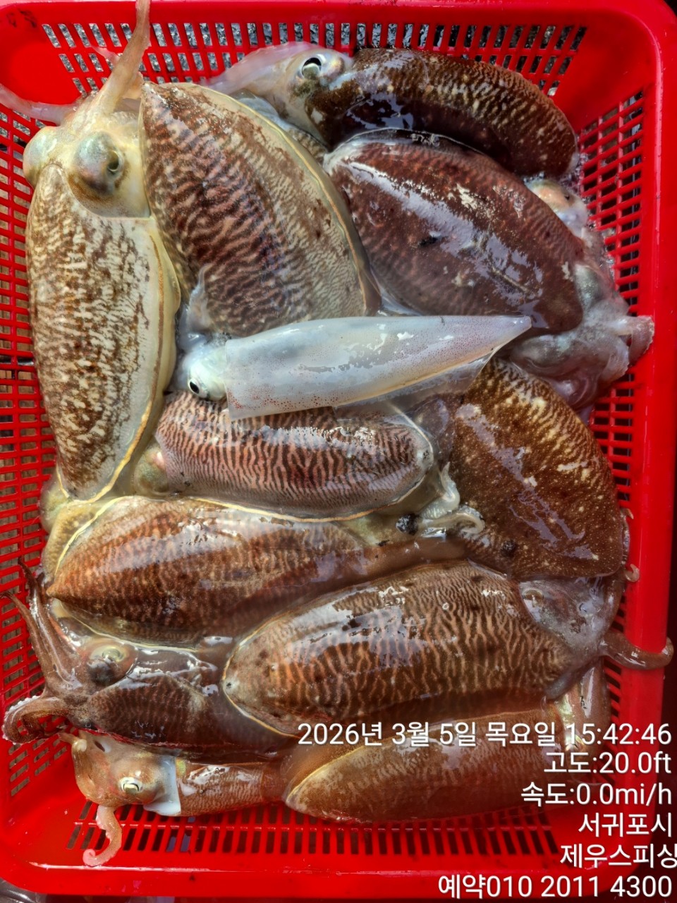 58f37f67981077279c419435a7e658cd_1773468128_8396.jpg 58f37f67981077279c419435a7e658cd_1773468128_8396.jpg