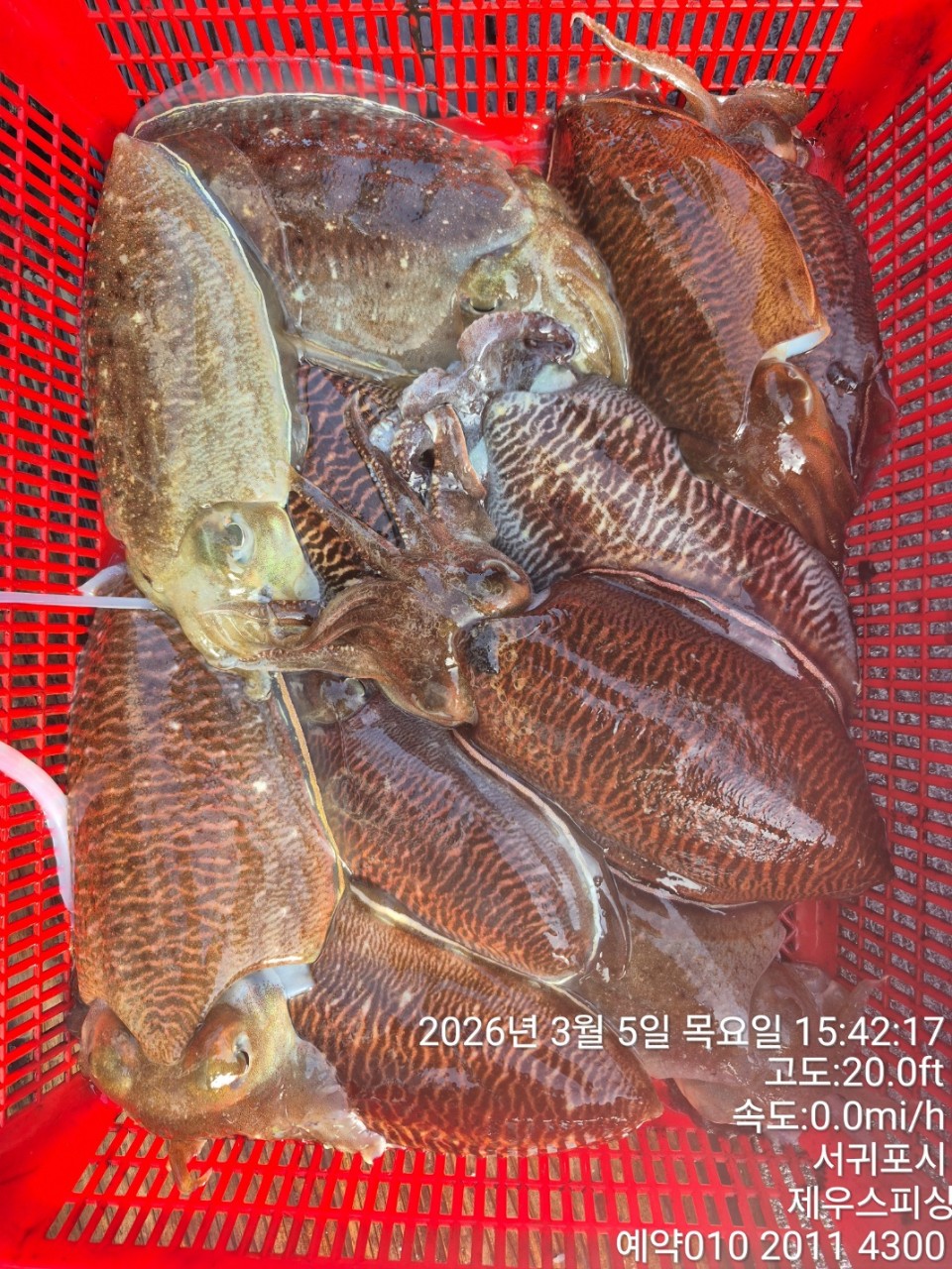 58f37f67981077279c419435a7e658cd_1773468128_892.jpg 58f37f67981077279c419435a7e658cd_1773468128_892.jpg