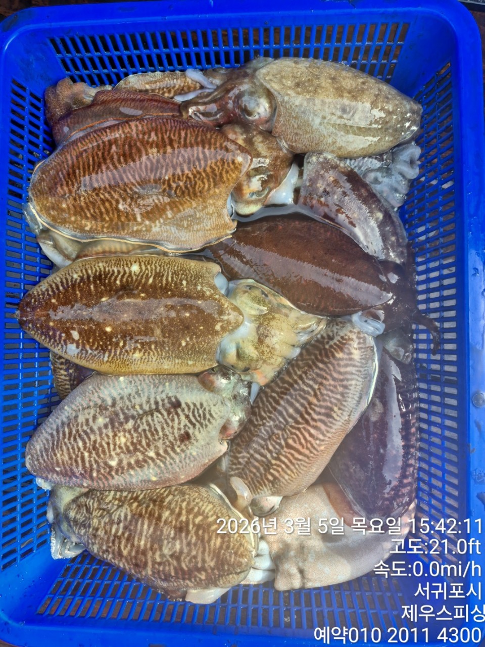 58f37f67981077279c419435a7e658cd_1773468128_9335.jpg 58f37f67981077279c419435a7e658cd_1773468128_9335.jpg