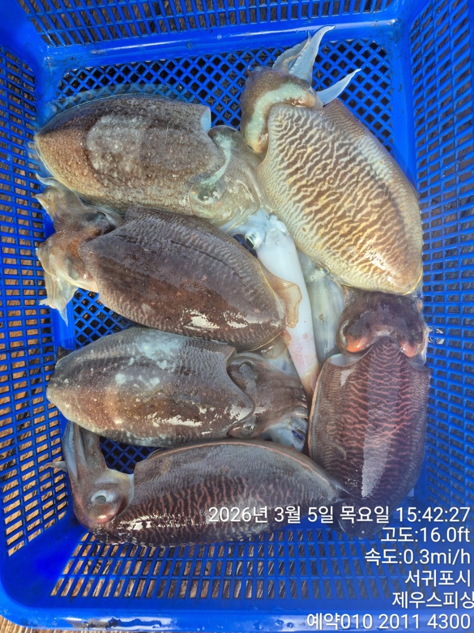 58f37f67981077279c419435a7e658cd_1773468128_9741.jpg 58f37f67981077279c419435a7e658cd_1773468128_9741.jpg