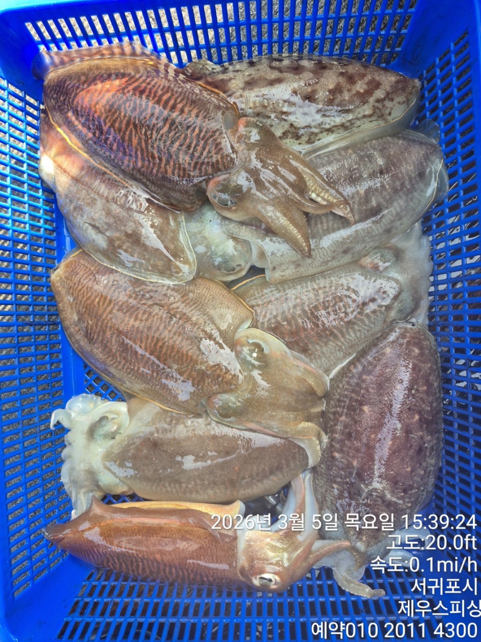 58f37f67981077279c419435a7e658cd_1773468129_0213.jpg 58f37f67981077279c419435a7e658cd_1773468129_0213.jpg