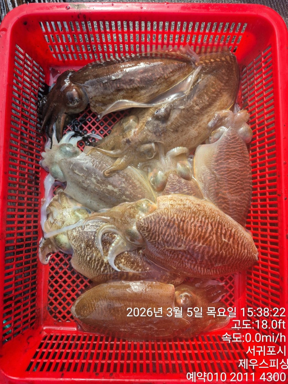 58f37f67981077279c419435a7e658cd_1773468143_7158.jpg 58f37f67981077279c419435a7e658cd_1773468143_7158.jpg