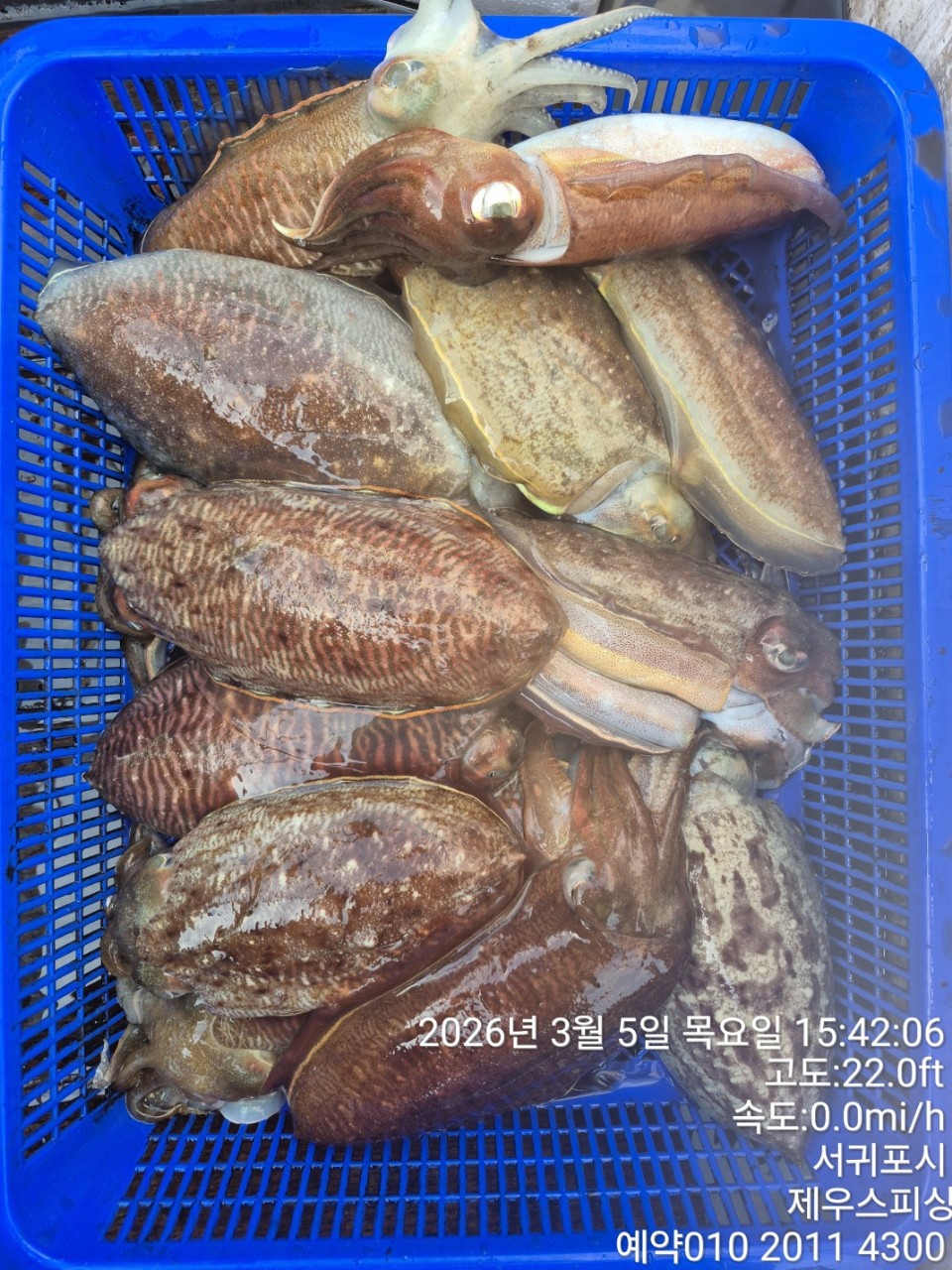 58f37f67981077279c419435a7e658cd_1773468143_7616.jpg 58f37f67981077279c419435a7e658cd_1773468143_7616.jpg