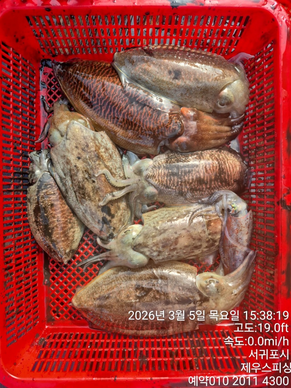 58f37f67981077279c419435a7e658cd_1773468143_8835.jpg 58f37f67981077279c419435a7e658cd_1773468143_8835.jpg