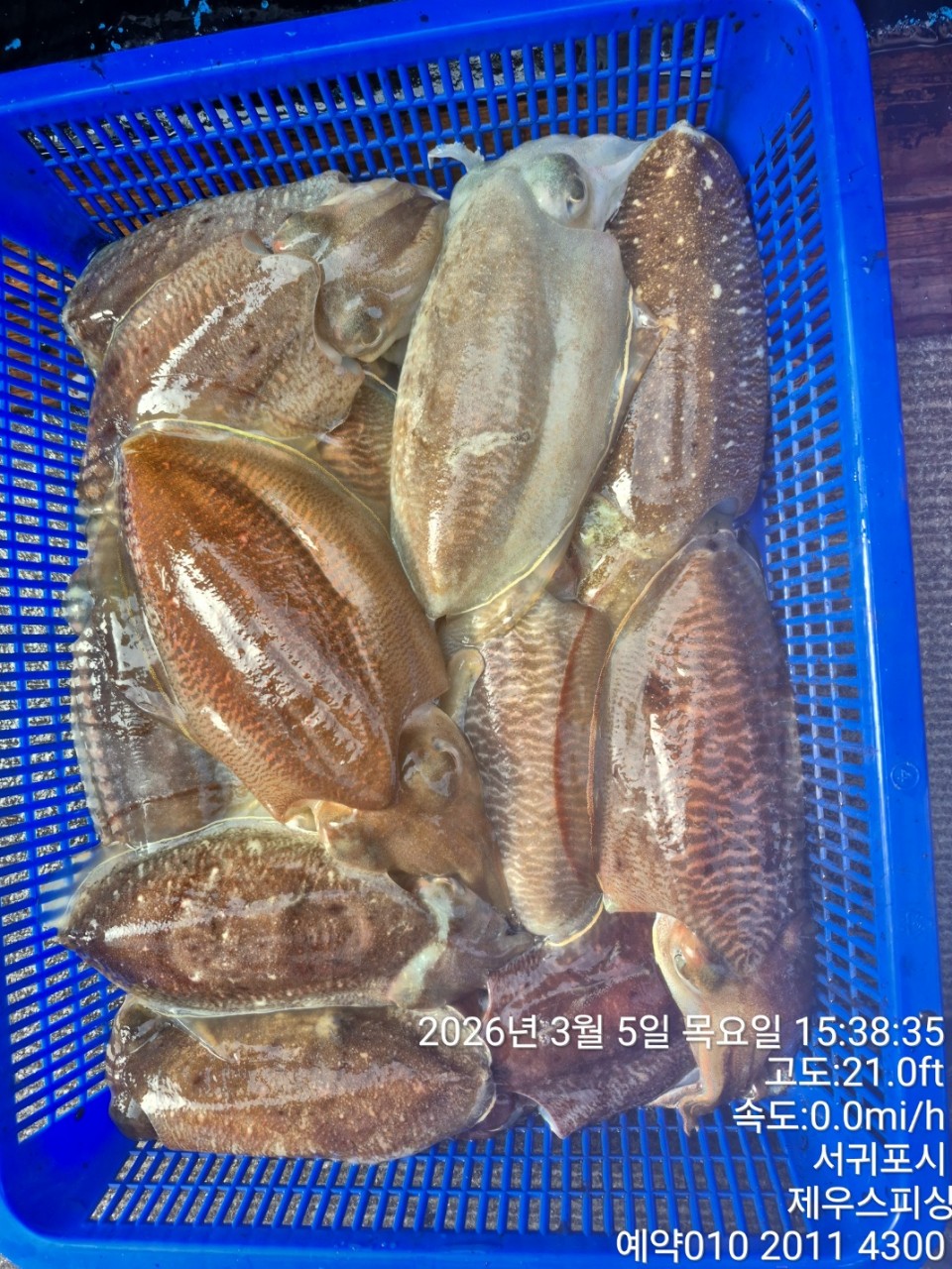 58f37f67981077279c419435a7e658cd_1773468143_9248.jpg 58f37f67981077279c419435a7e658cd_1773468143_9248.jpg