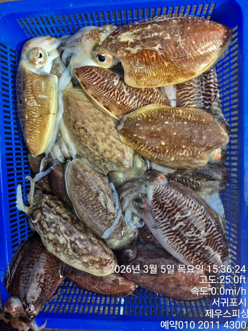 58f37f67981077279c419435a7e658cd_1773468143_9703.jpg 58f37f67981077279c419435a7e658cd_1773468143_9703.jpg