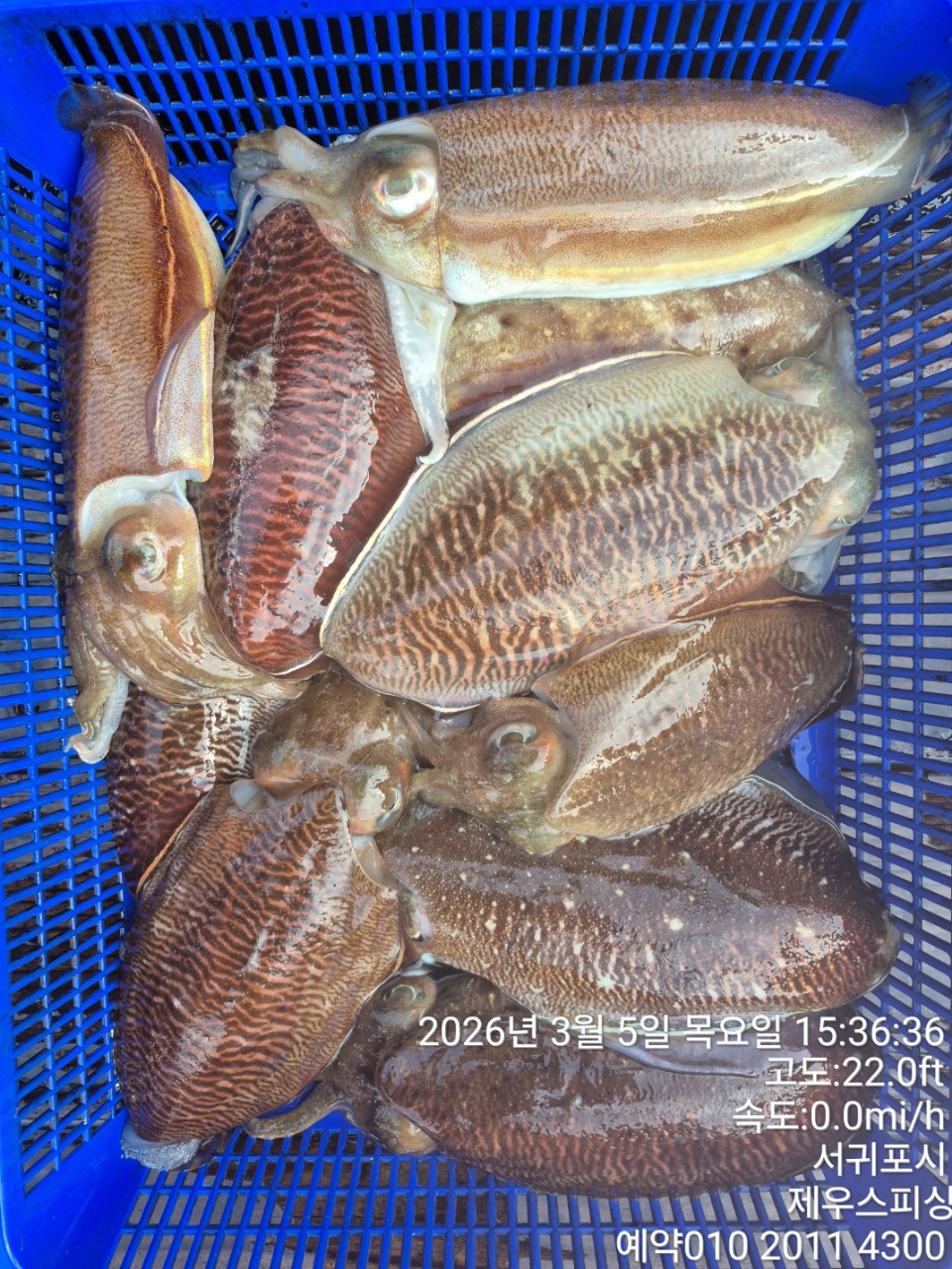 58f37f67981077279c419435a7e658cd_1773468144_0138.jpg 58f37f67981077279c419435a7e658cd_1773468144_0138.jpg