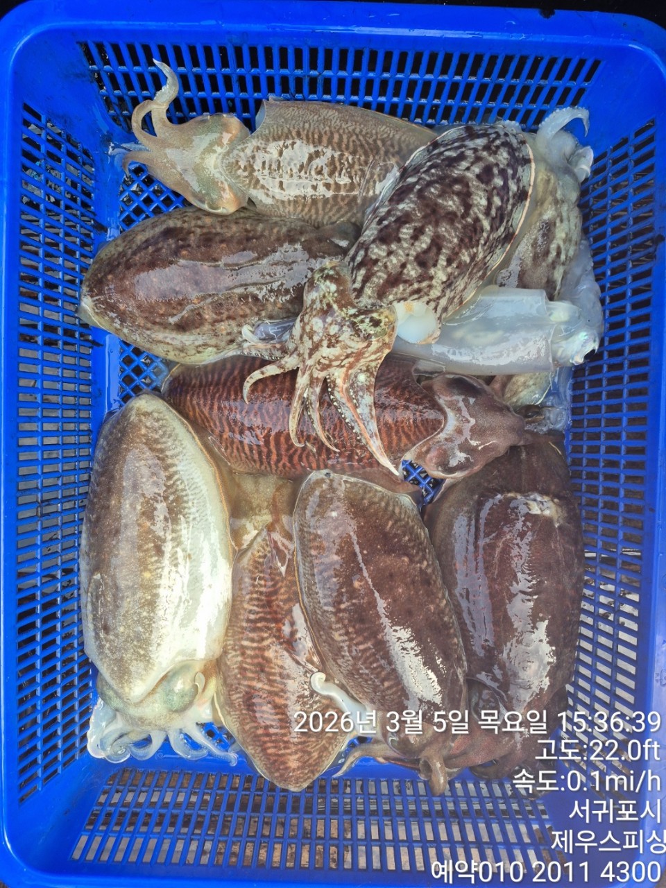 58f37f67981077279c419435a7e658cd_1773468144_06.jpg 58f37f67981077279c419435a7e658cd_1773468144_06.jpg