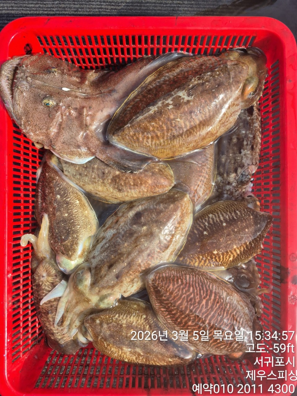 58f37f67981077279c419435a7e658cd_1773468144_1009.jpg 58f37f67981077279c419435a7e658cd_1773468144_1009.jpg