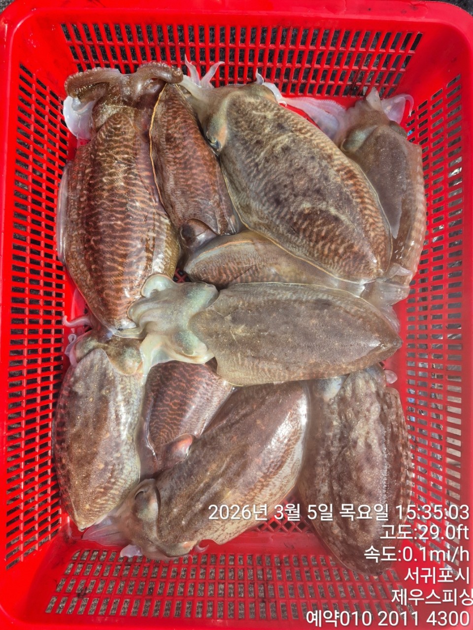 58f37f67981077279c419435a7e658cd_1773468144_1474.jpg 58f37f67981077279c419435a7e658cd_1773468144_1474.jpg