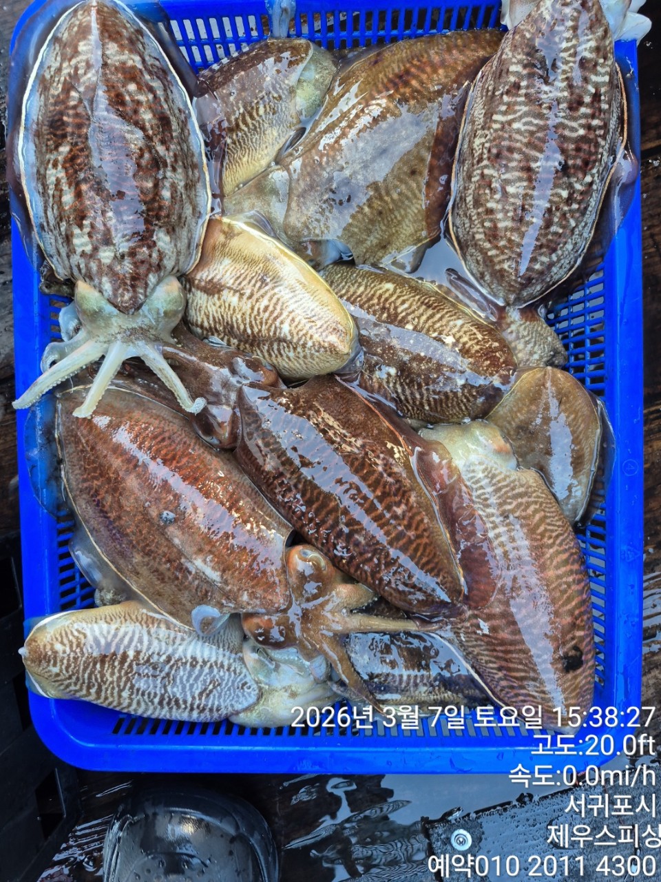 58f37f67981077279c419435a7e658cd_1773468407_7628.jpg 58f37f67981077279c419435a7e658cd_1773468407_7628.jpg