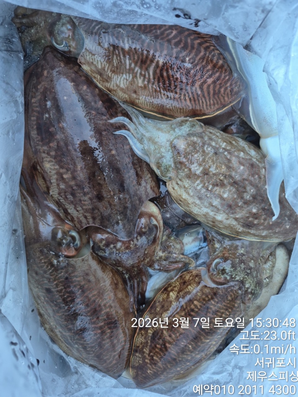 58f37f67981077279c419435a7e658cd_1773468407_8068.jpg 58f37f67981077279c419435a7e658cd_1773468407_8068.jpg