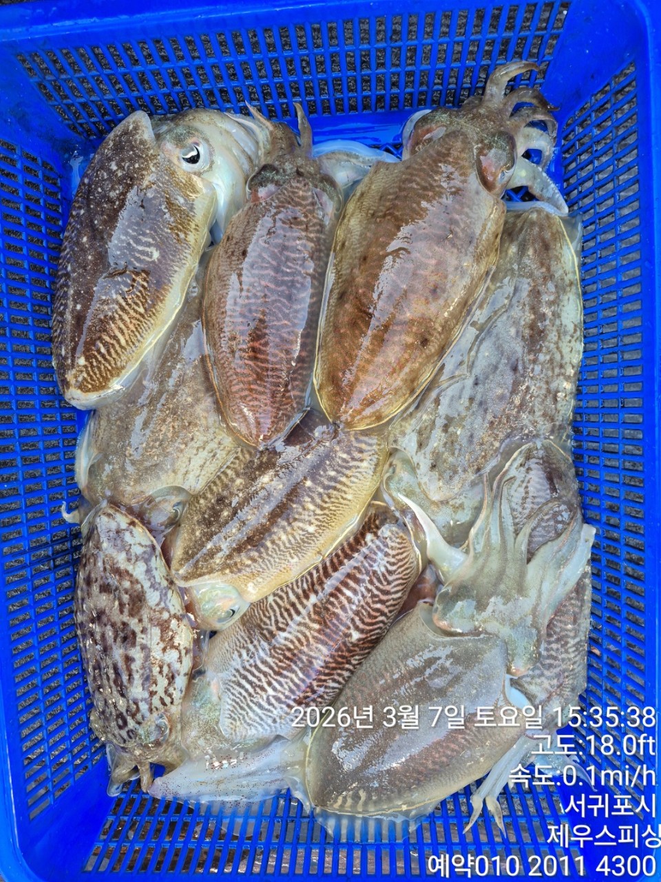 58f37f67981077279c419435a7e658cd_1773468423_755.jpg 58f37f67981077279c419435a7e658cd_1773468423_755.jpg