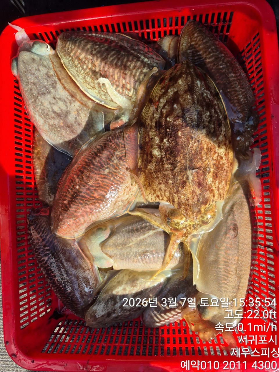 58f37f67981077279c419435a7e658cd_1773468423_7986.jpg 58f37f67981077279c419435a7e658cd_1773468423_7986.jpg