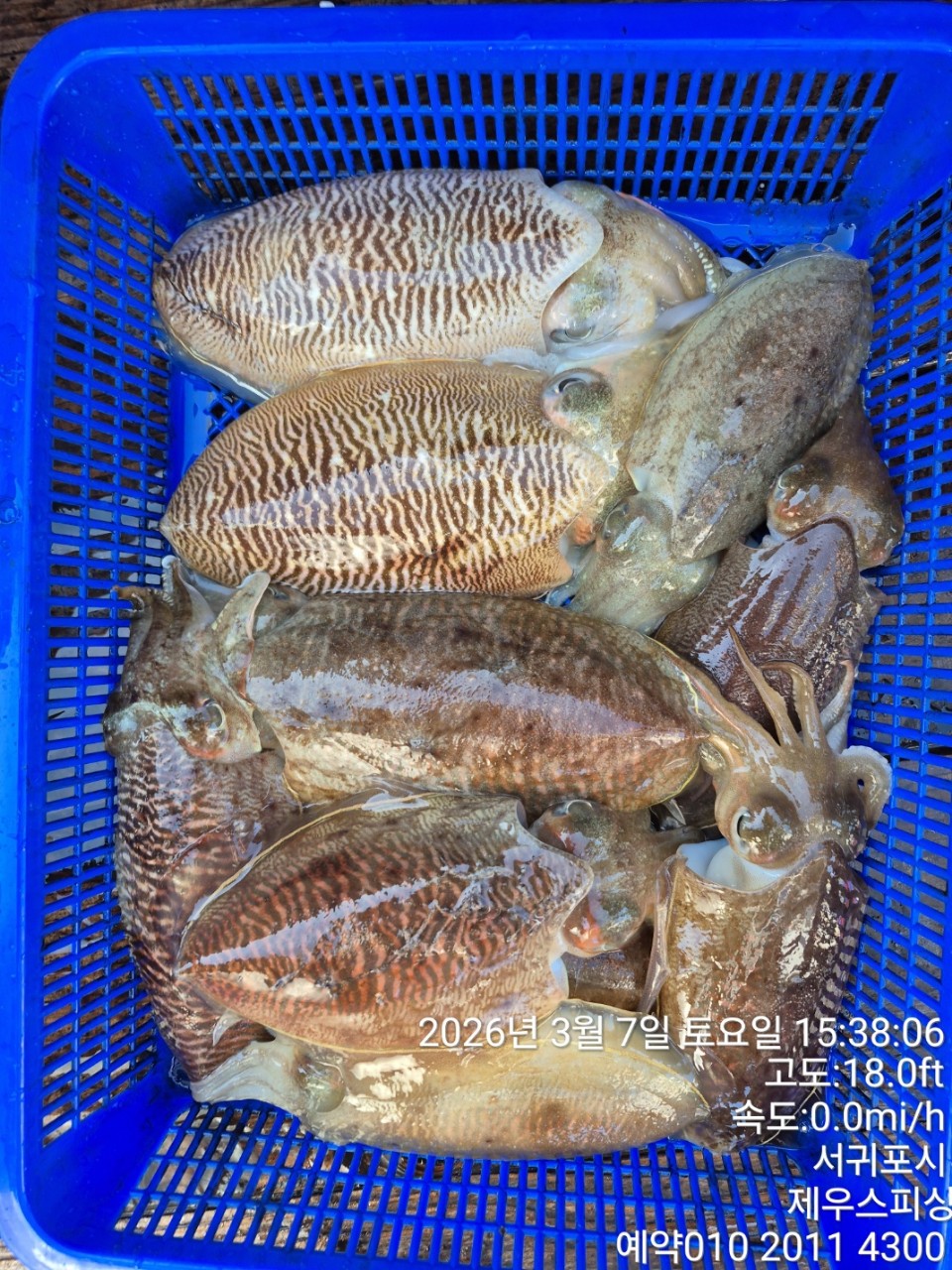 58f37f67981077279c419435a7e658cd_1773468423_9502.jpg 58f37f67981077279c419435a7e658cd_1773468423_9502.jpg