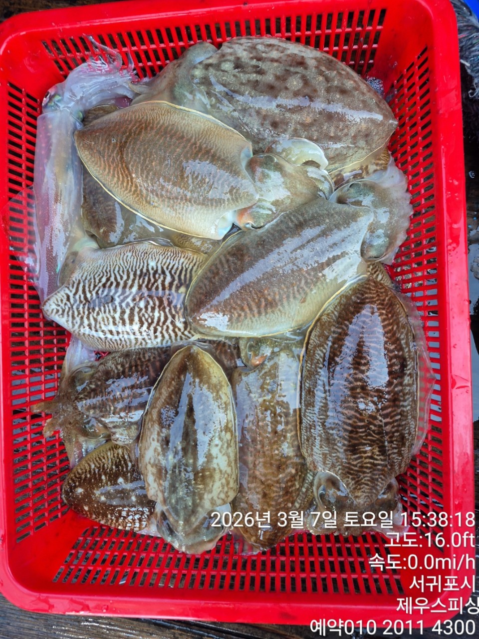 58f37f67981077279c419435a7e658cd_1773468423_9949.jpg 58f37f67981077279c419435a7e658cd_1773468423_9949.jpg