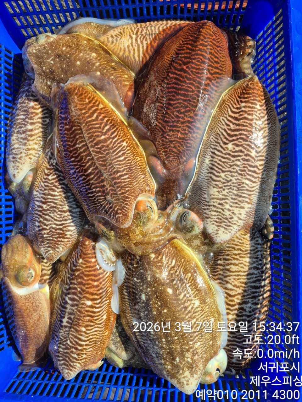 58f37f67981077279c419435a7e658cd_1773468424_0886.jpg 58f37f67981077279c419435a7e658cd_1773468424_0886.jpg