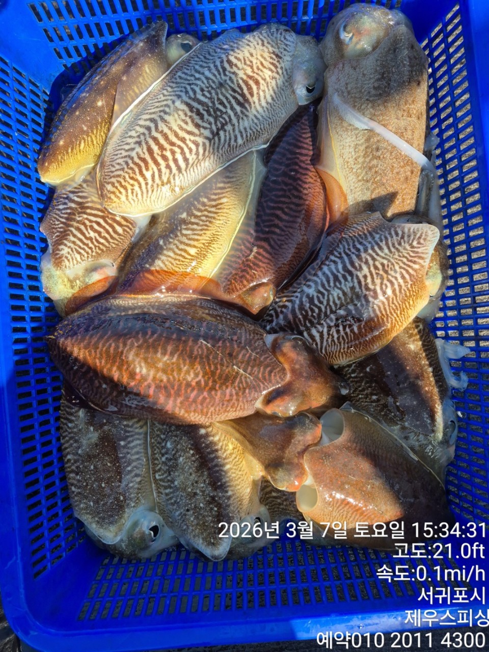 58f37f67981077279c419435a7e658cd_1773468424_1363.jpg 58f37f67981077279c419435a7e658cd_1773468424_1363.jpg