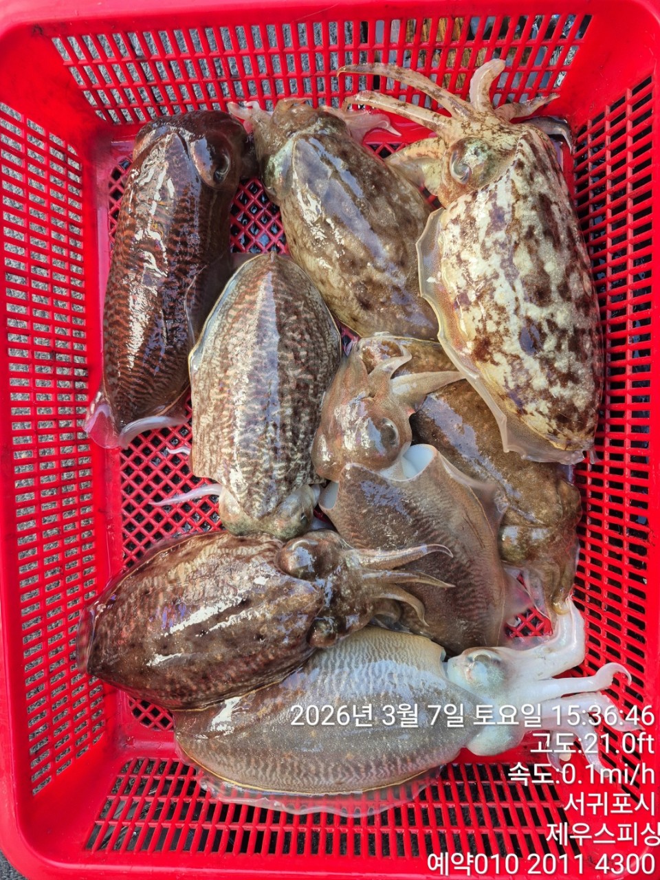 58f37f67981077279c419435a7e658cd_1773468424_1816.jpg 58f37f67981077279c419435a7e658cd_1773468424_1816.jpg