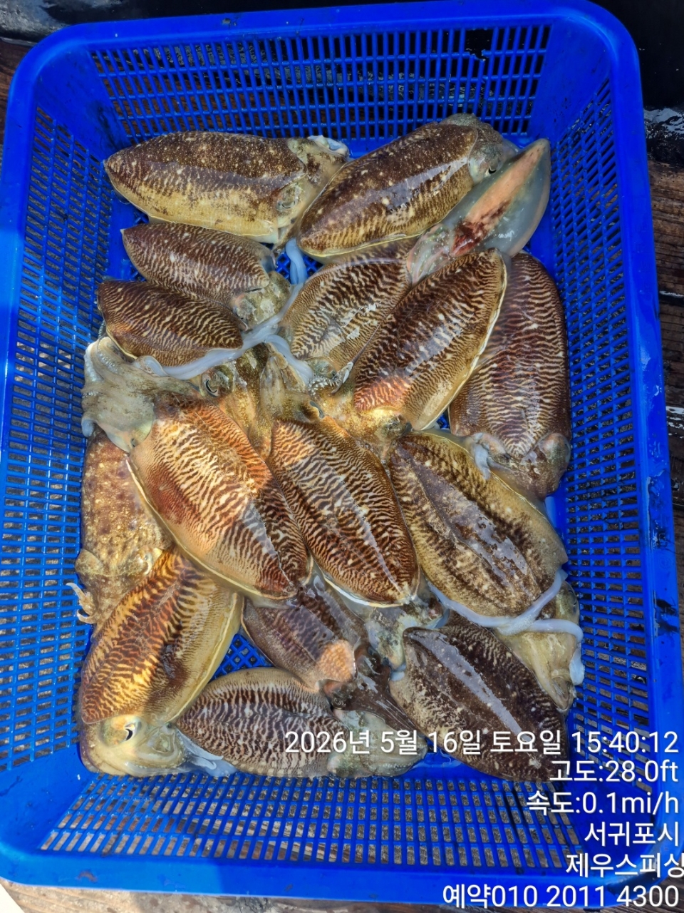 9ac4c536afef1f5da6ea24c3ac6e67c0_1778987391_4578.jpg 9ac4c536afef1f5da6ea24c3ac6e67c0_1778987391_4578.jpg
