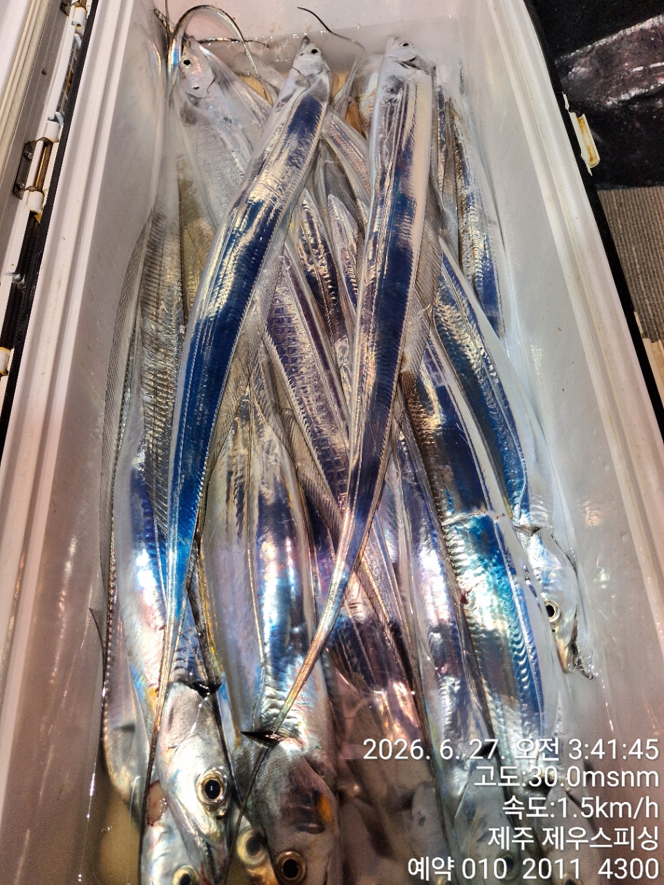 7cc7374774b208352fd3c427cd147a48_1782539746_1856.jpg