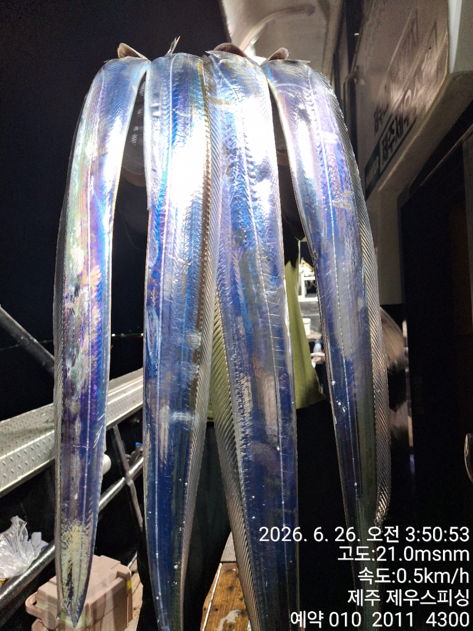 ecb8083ee2de030a4eff2a2affd8bcd7_1782445097_8607.jpg